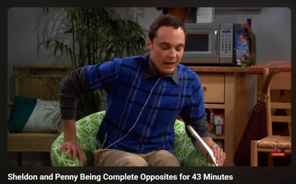 Sheldon from the Big Bang Theory